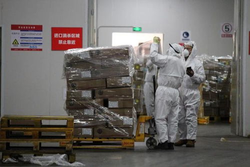 《公路、水路进口冷链食品物流新冠病毒防控和消毒技术指南（第四版）》印发 强化道路货物运输环节防控